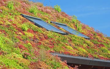 High Haswell living roof systems